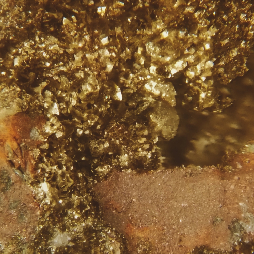 Chamosite