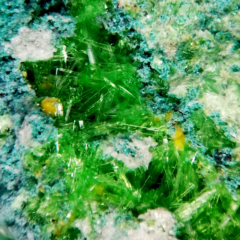 Vandenbrandeite Cuprosklodowskite & Guilleminite