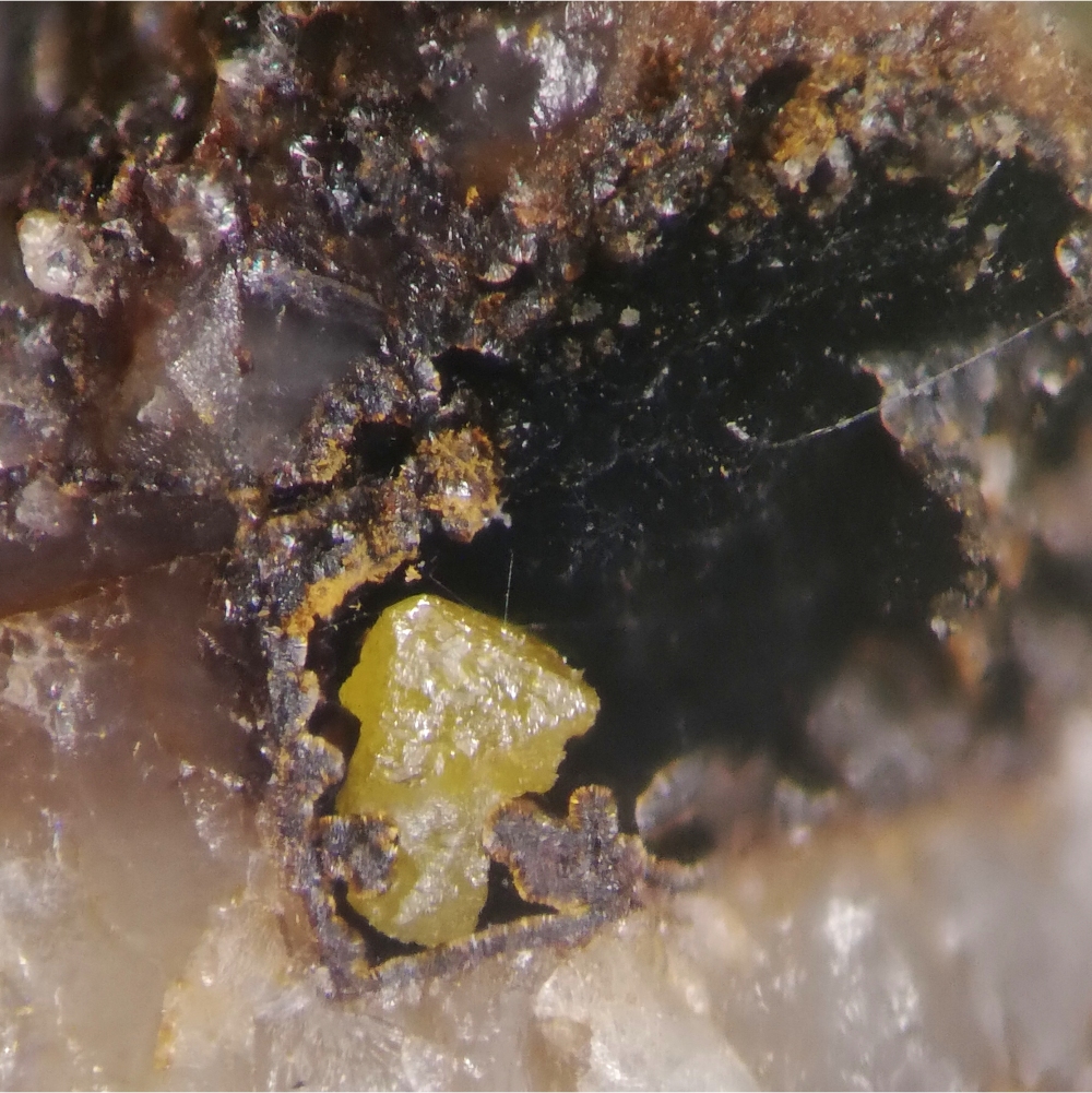 Bromargyrite & Coronadite