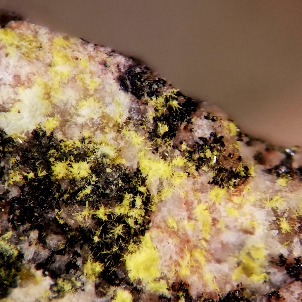 Schoepite & Uraninite