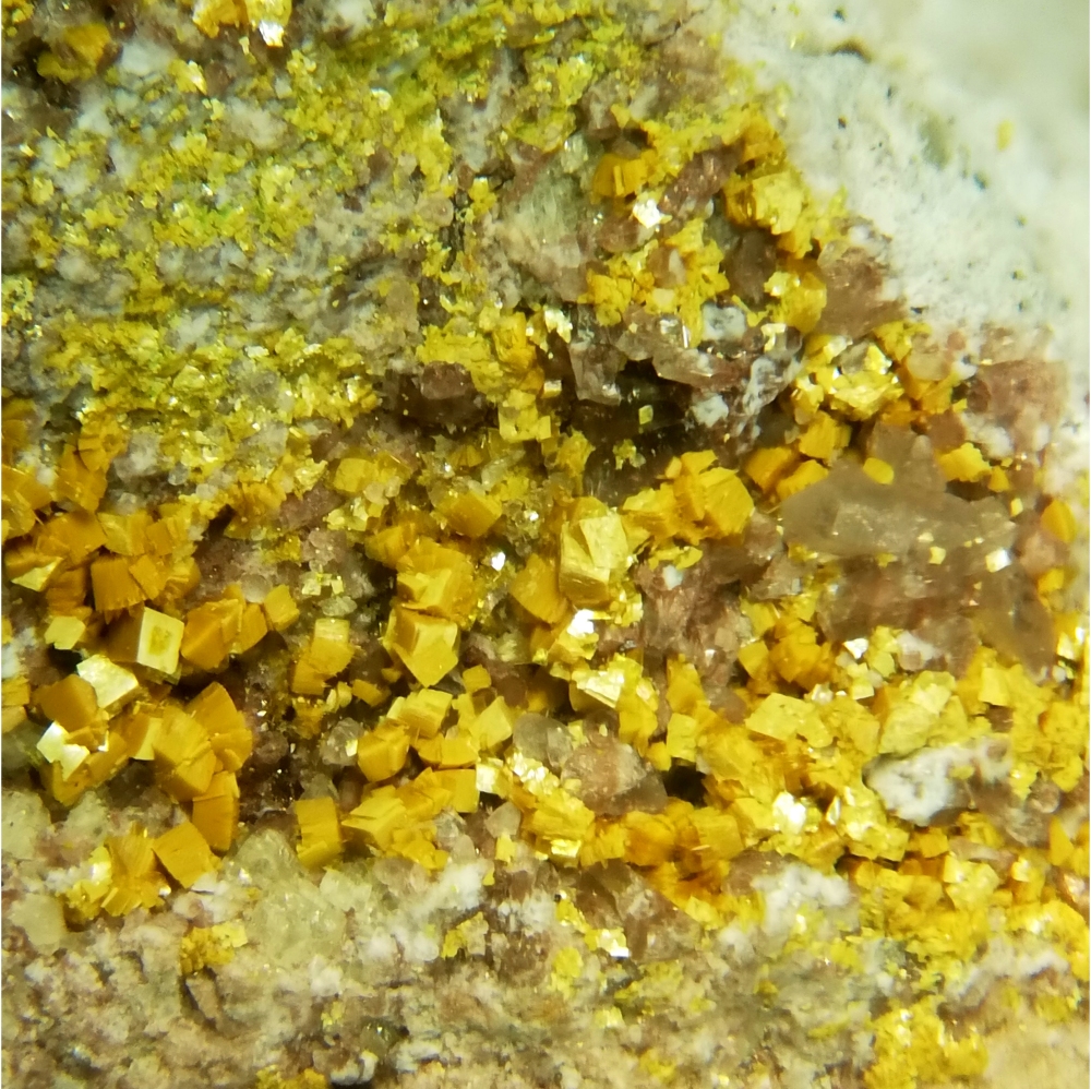 Carnotite