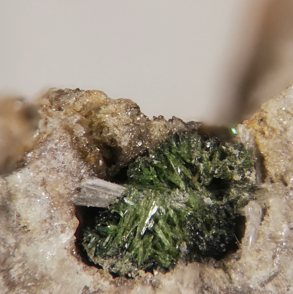 Tripuhyite Rosiaite Valentinite