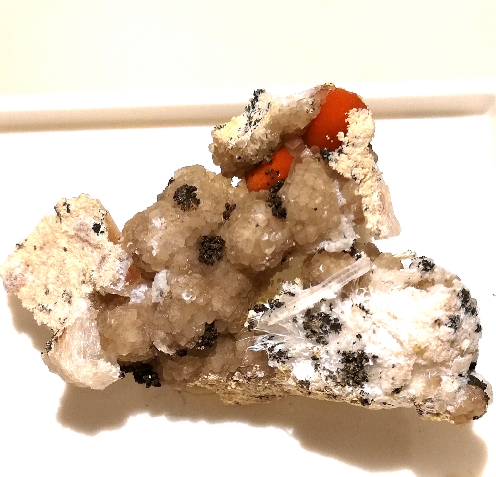 Ferrierite-Mg Palygorskite Calcite Mordenite