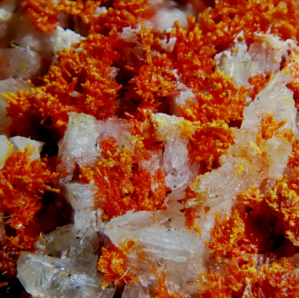 Arsenolite & Realgar