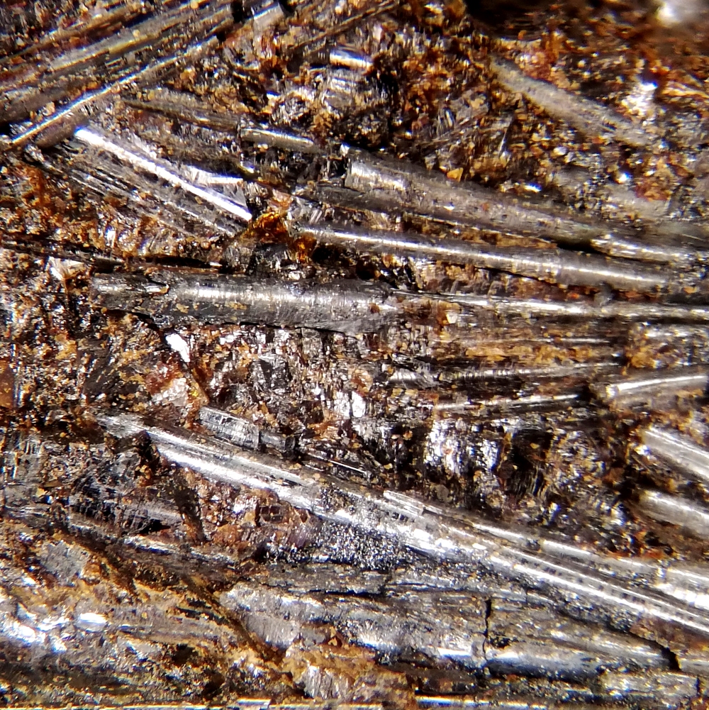 Cylindrite