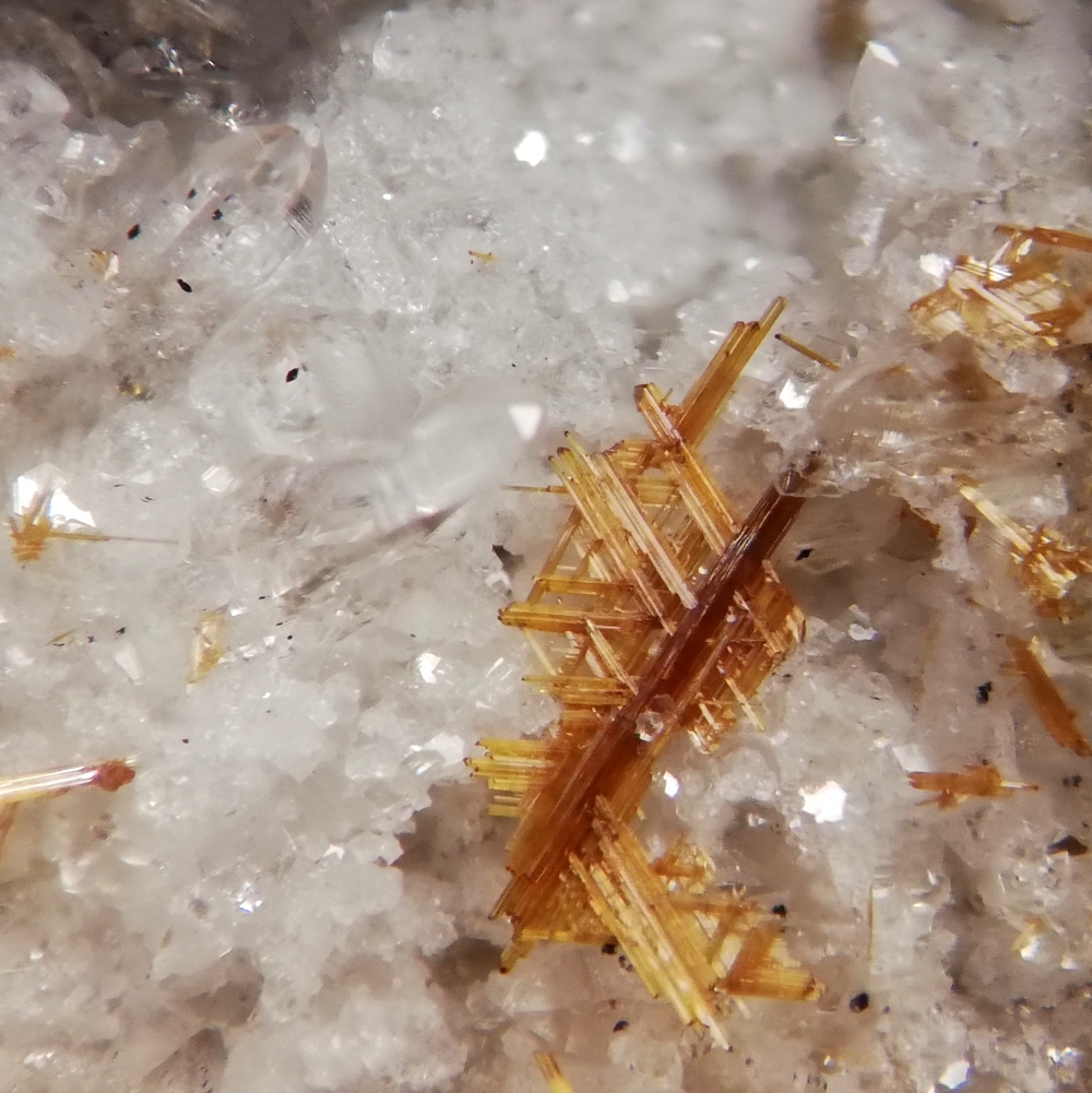 Monazite-(Ce) & Rutile