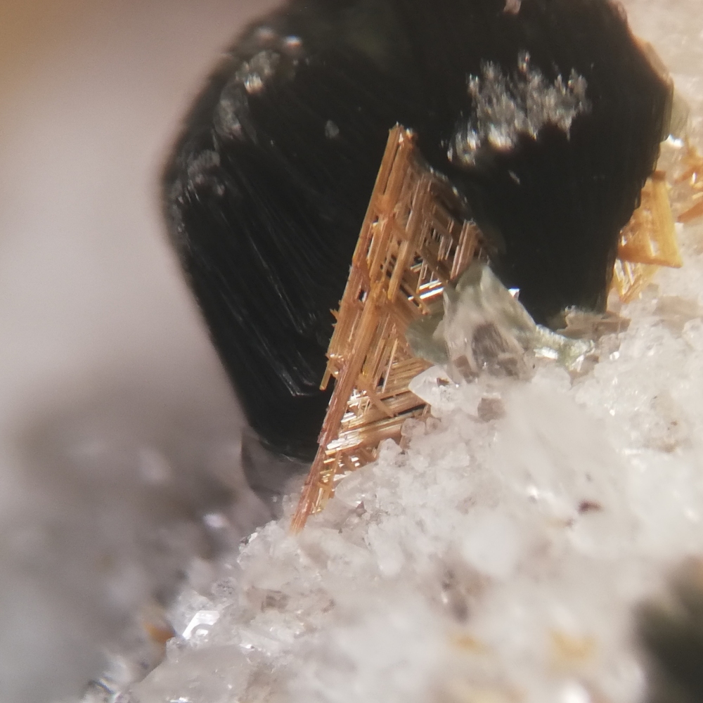 Monazite-(Ce) & Rutile