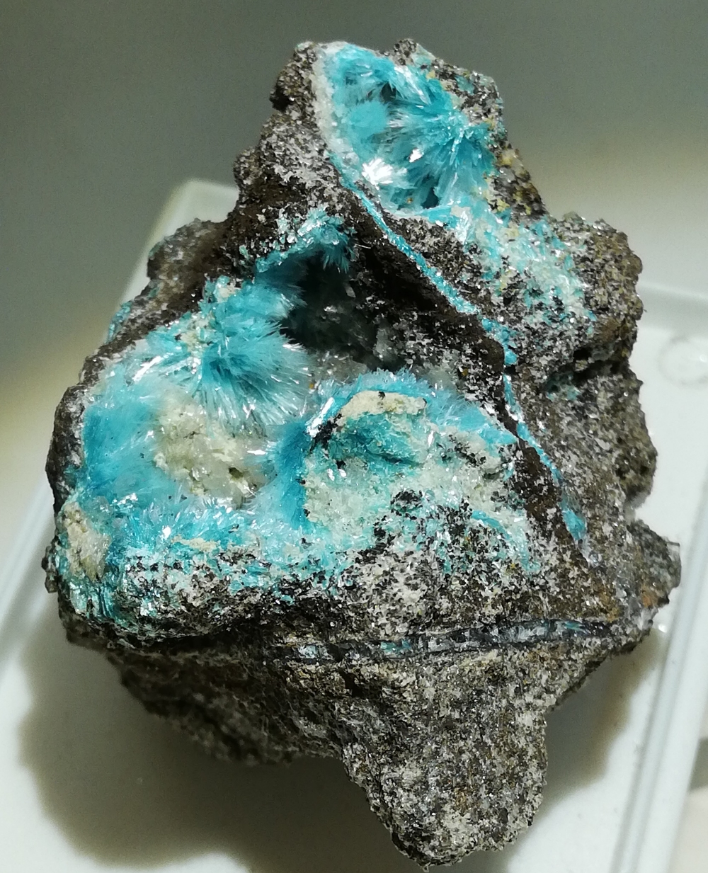 Aurichalcite & Hemimorphite