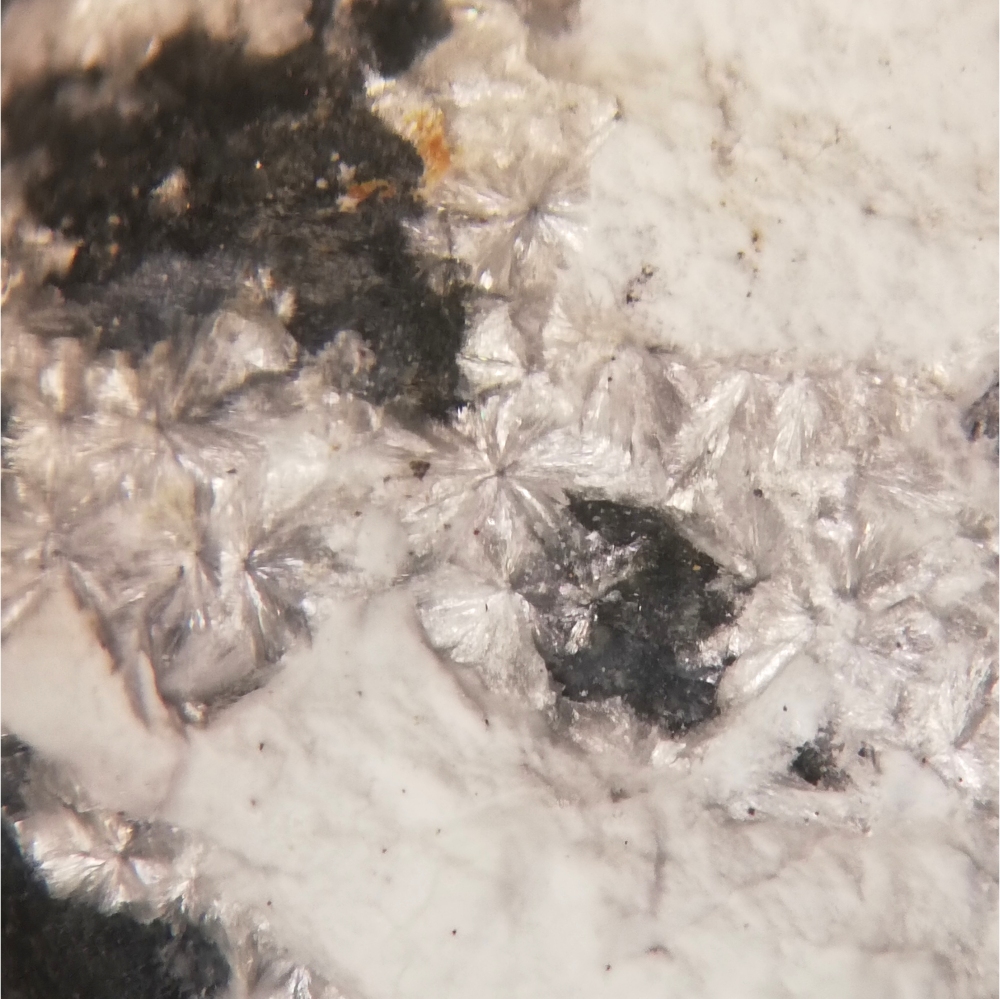 Montgomeryite