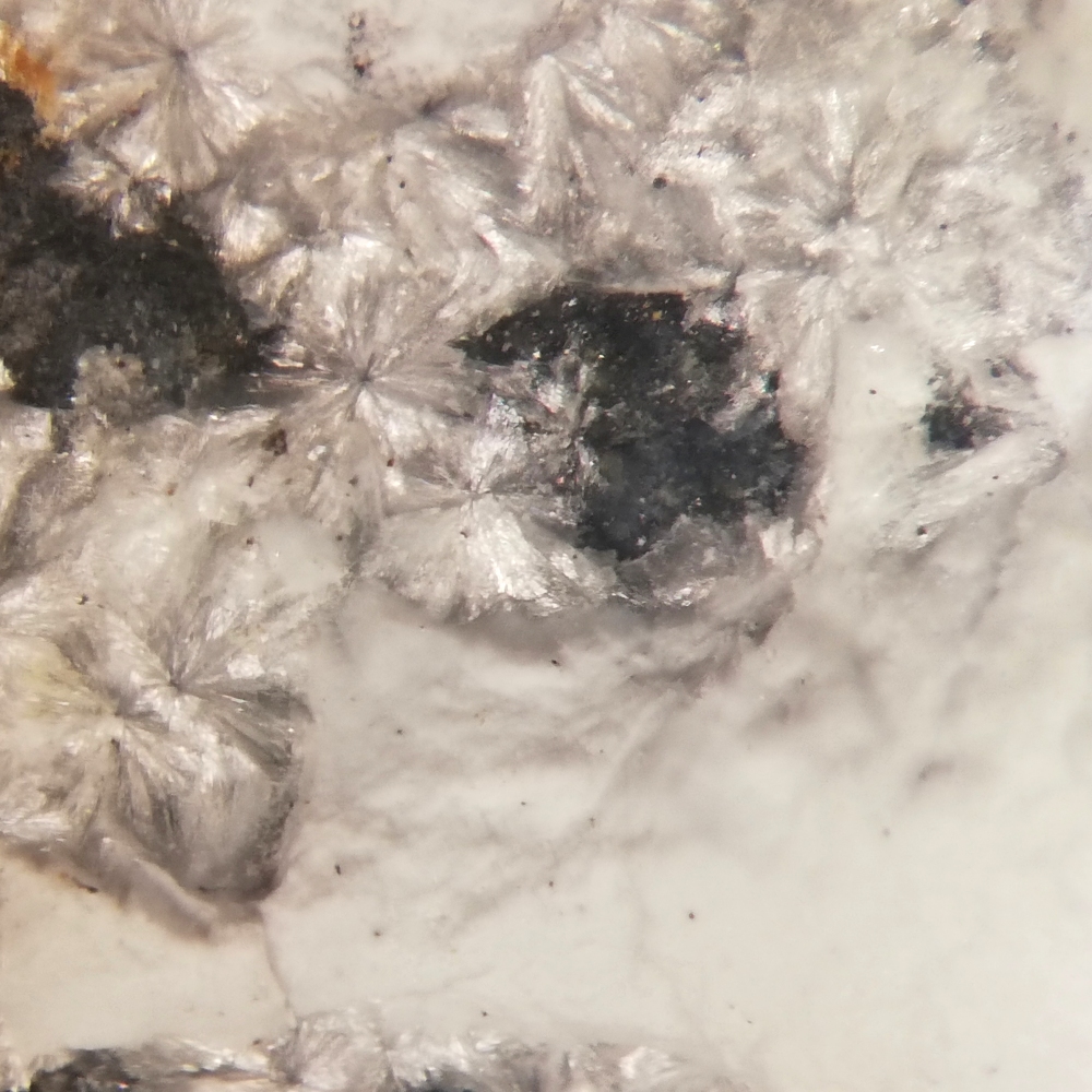 Montgomeryite
