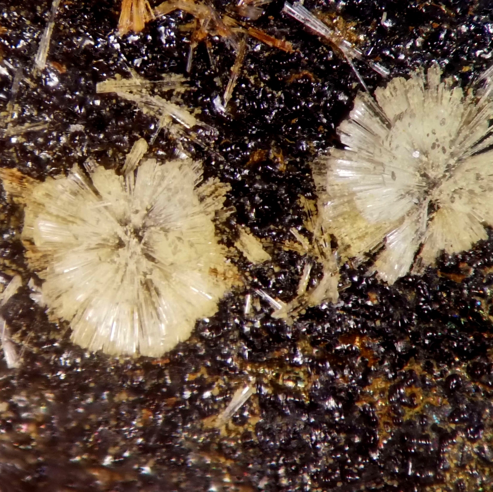 Wavellite