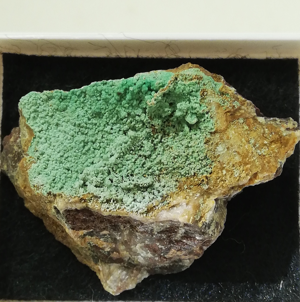 Metazeunerite