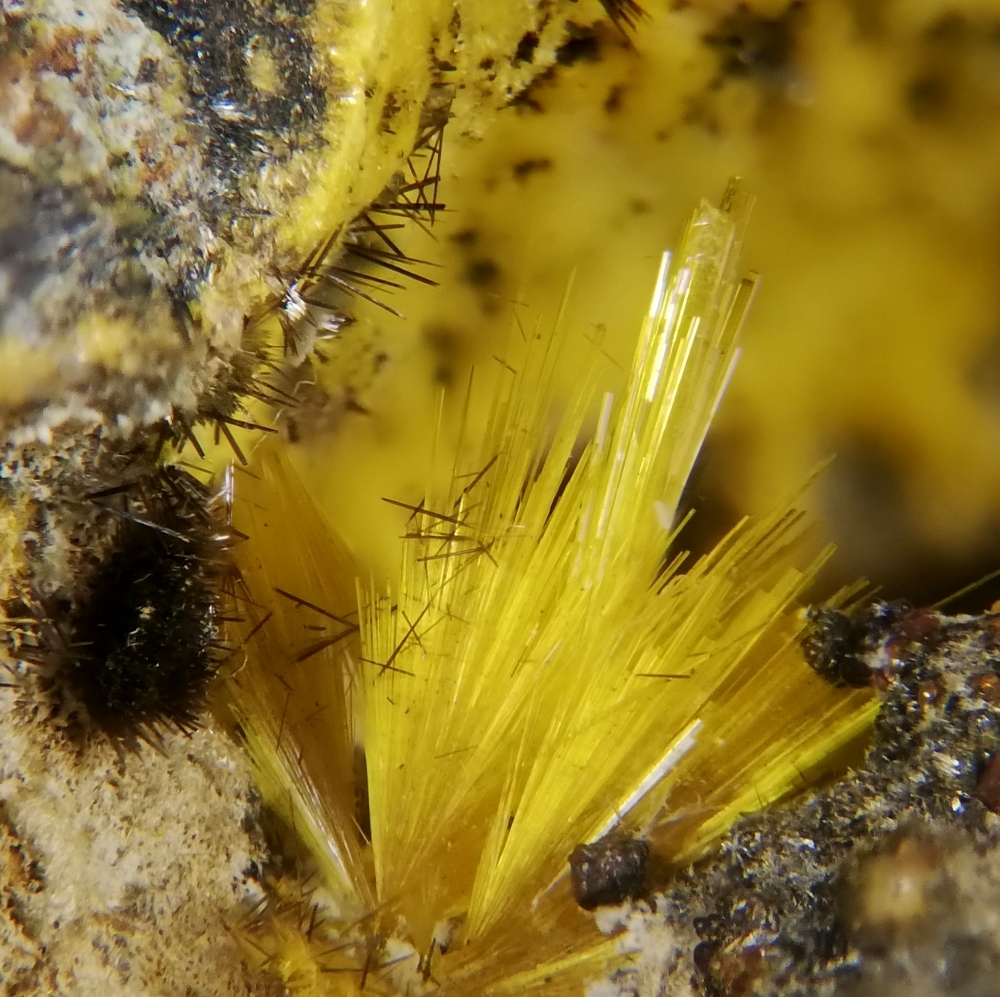 Wyartite Urancalcarite Ianthinite