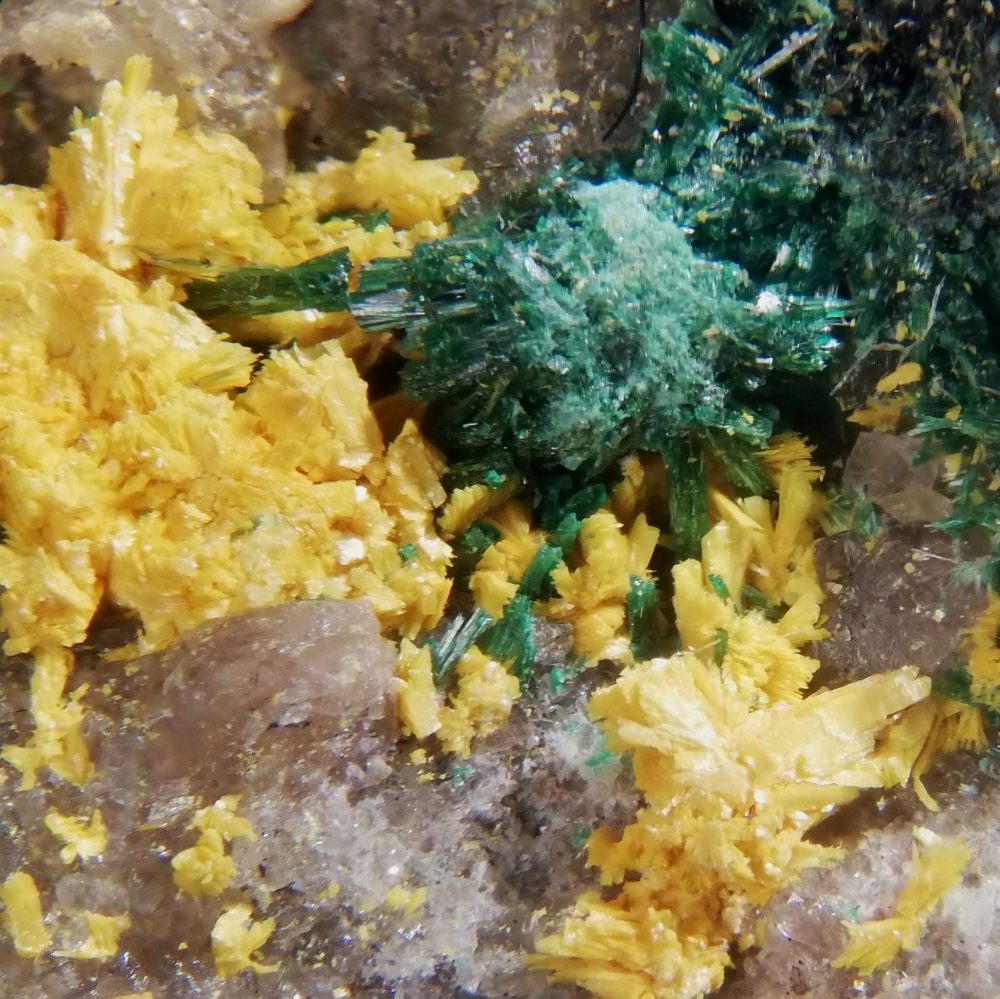 Tyuyamunite & Malachite