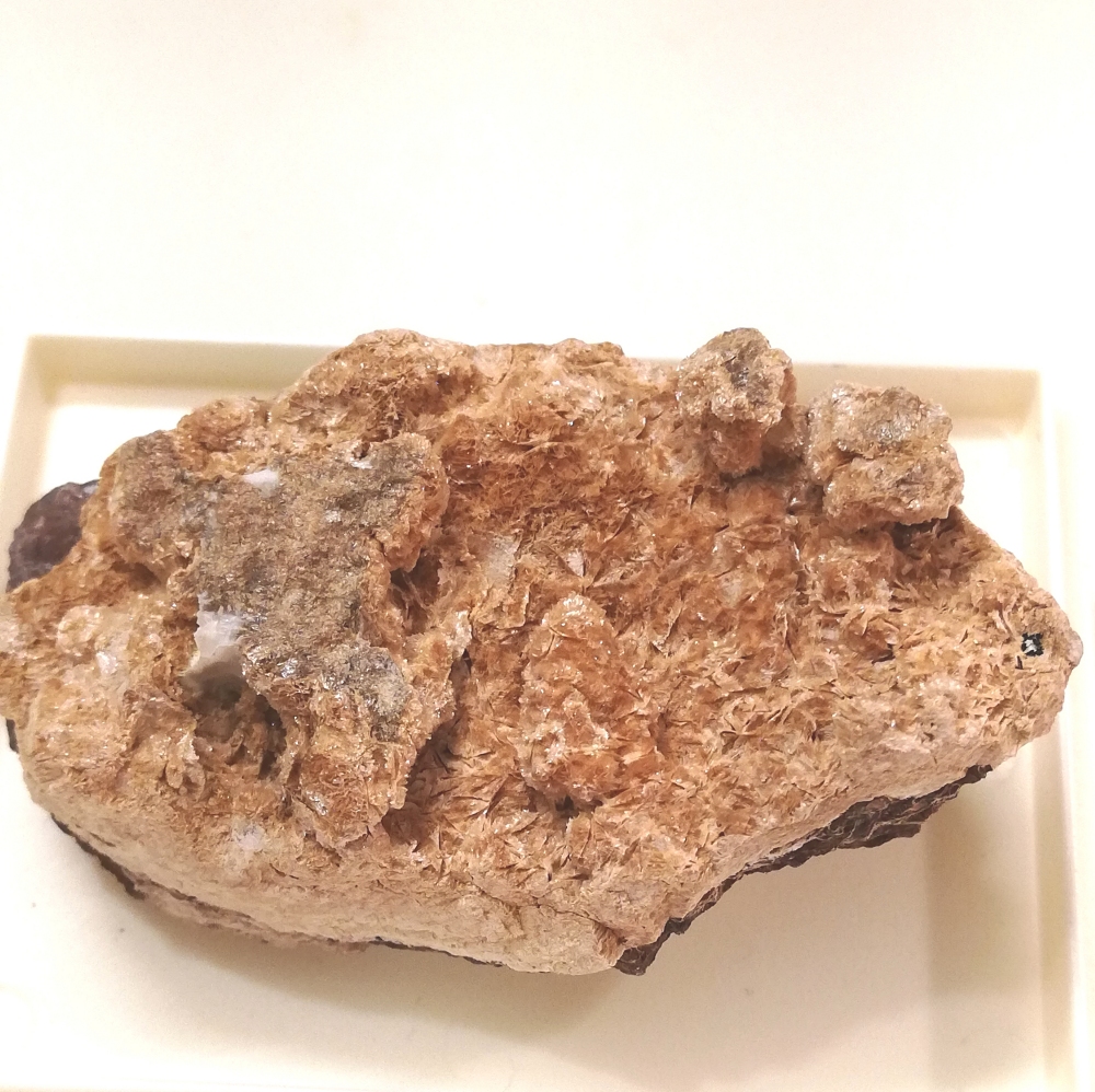 Ganophyllite