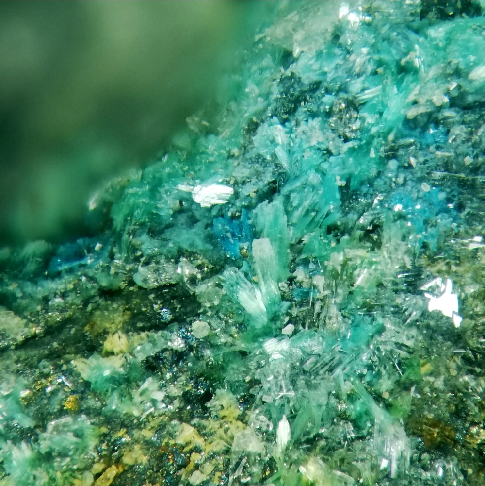 Fehrite