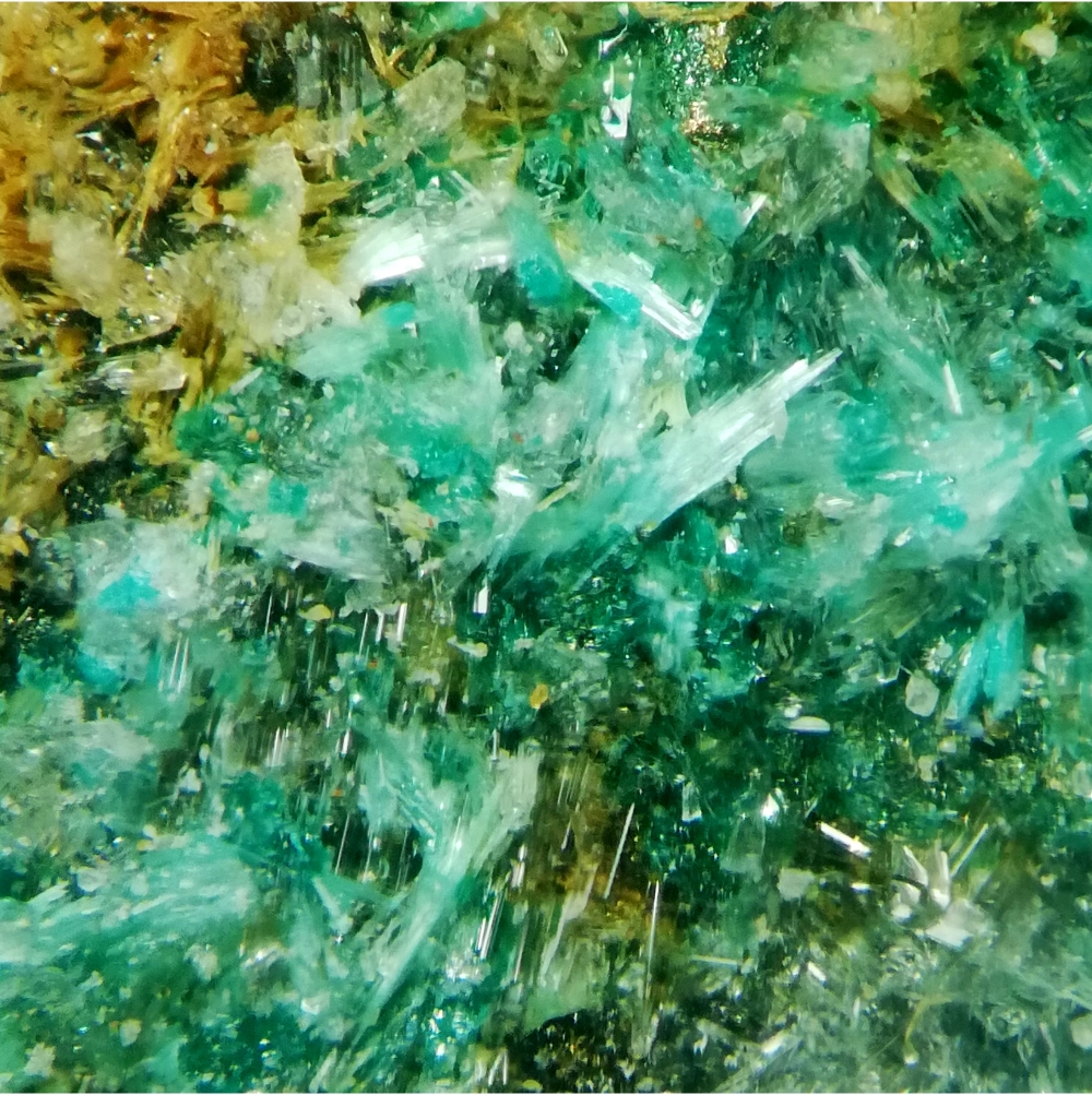 Fehrite