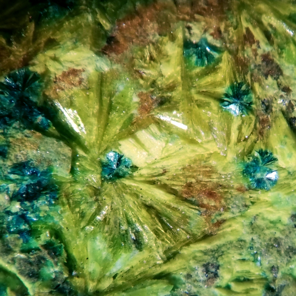 Astrocyanite-(Ce) & Kamotoite-(Y)