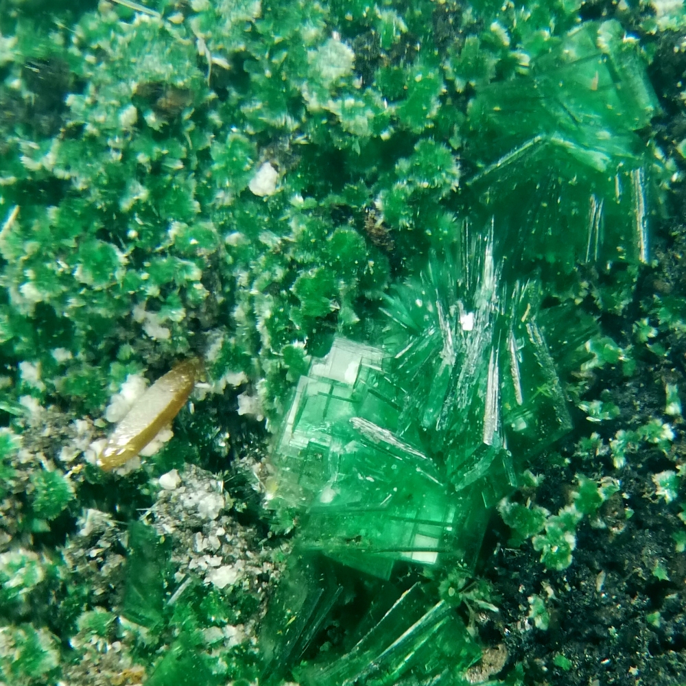 Kasolite & Torbernite