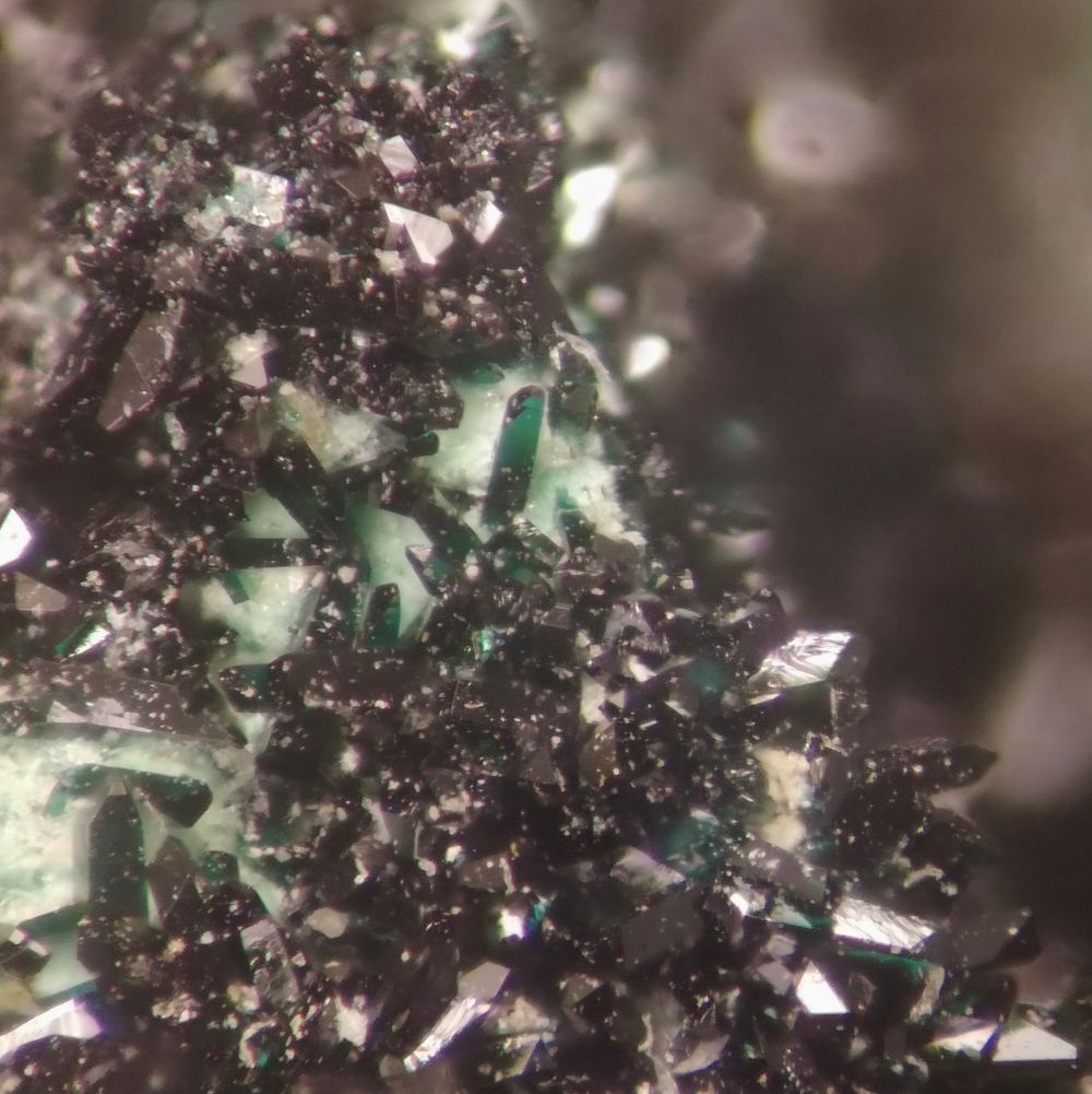 Vandenbrandeite & Baryte