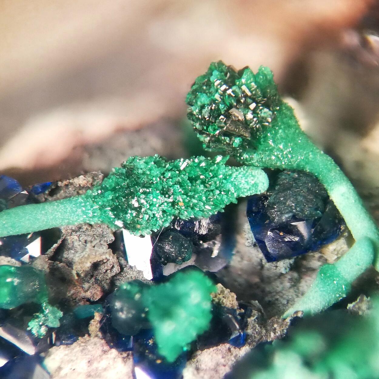 Cornetite & Malachite