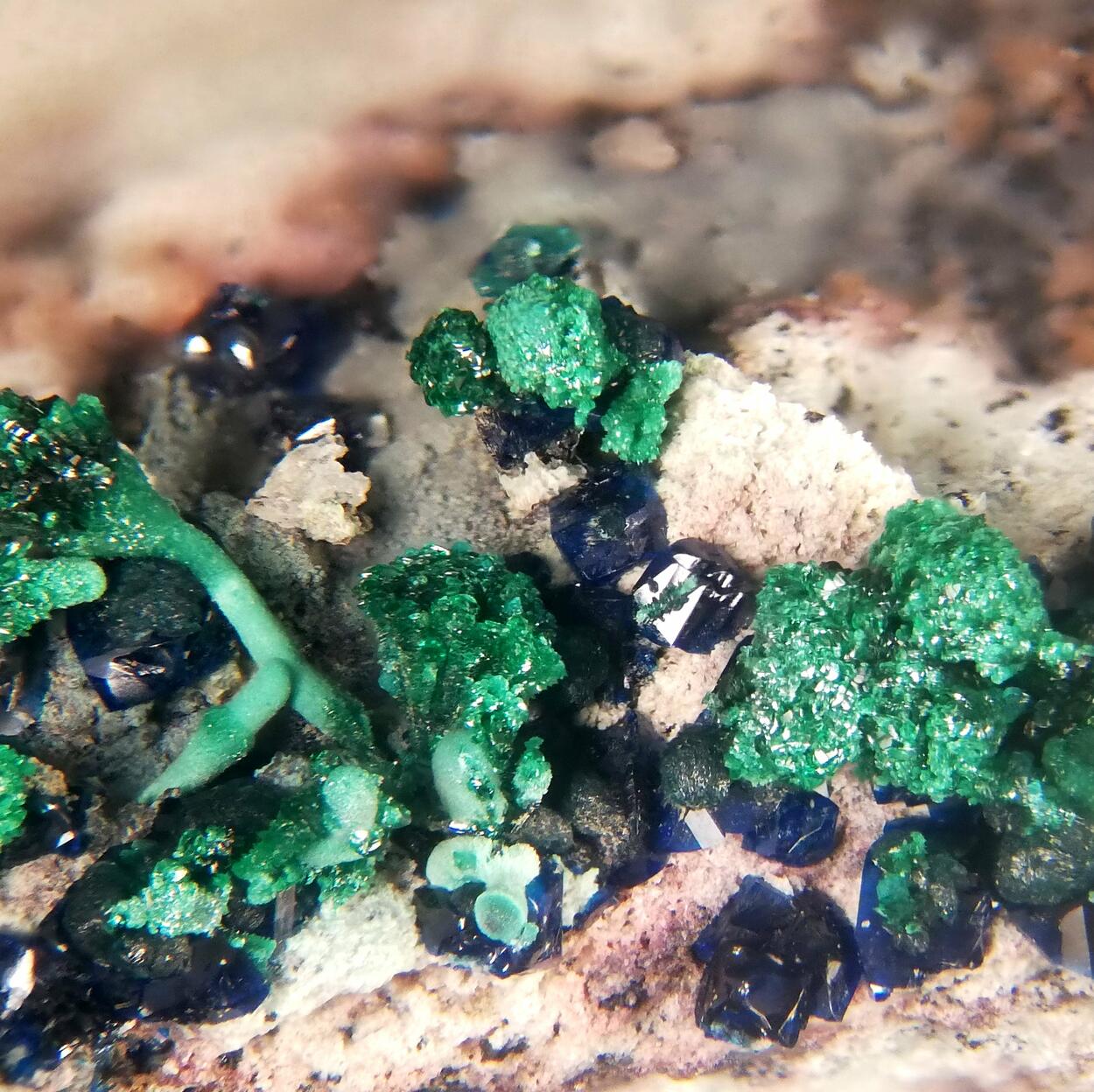 Cornetite & Malachite