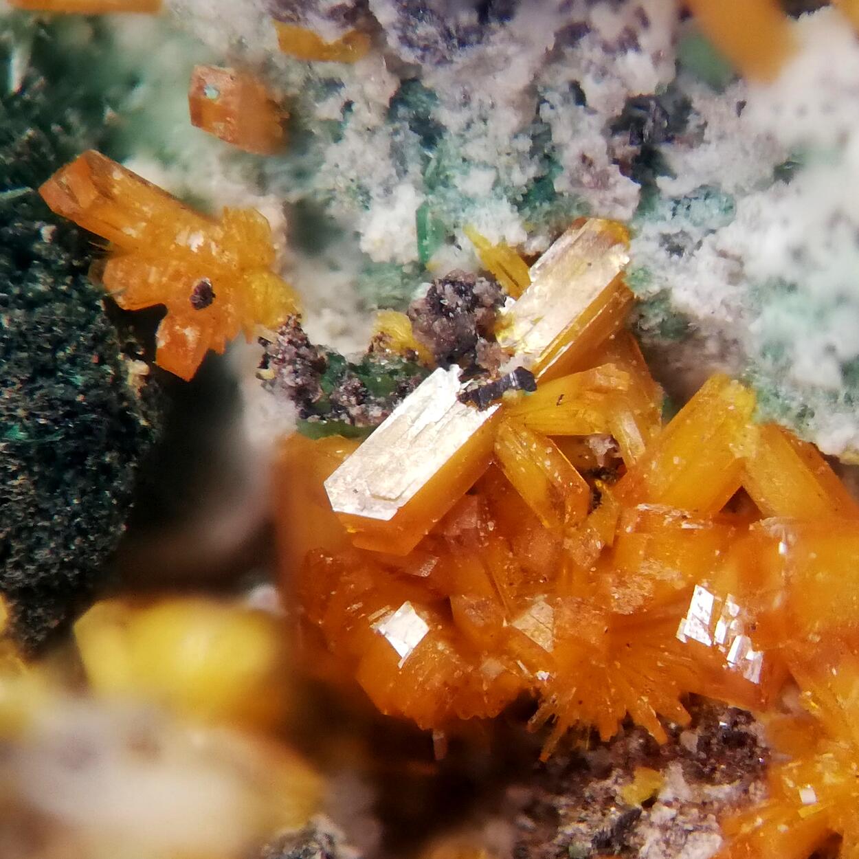 Kasolite