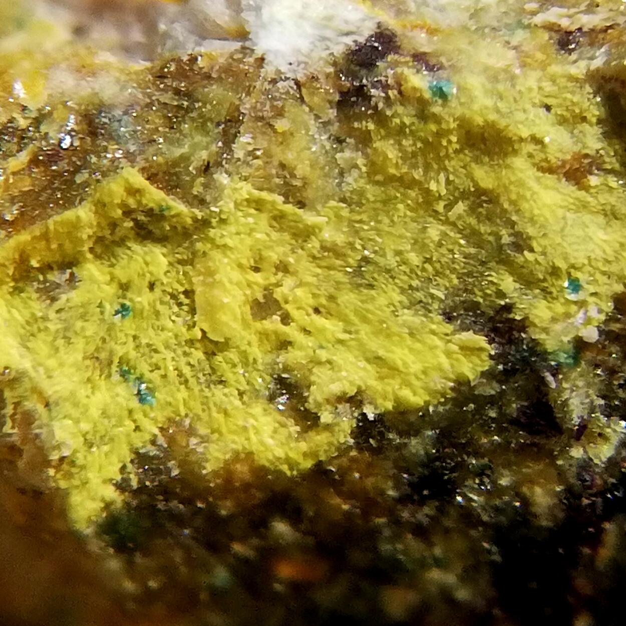 Astrocyanite-(Ce) On Kamotoite-(Y)