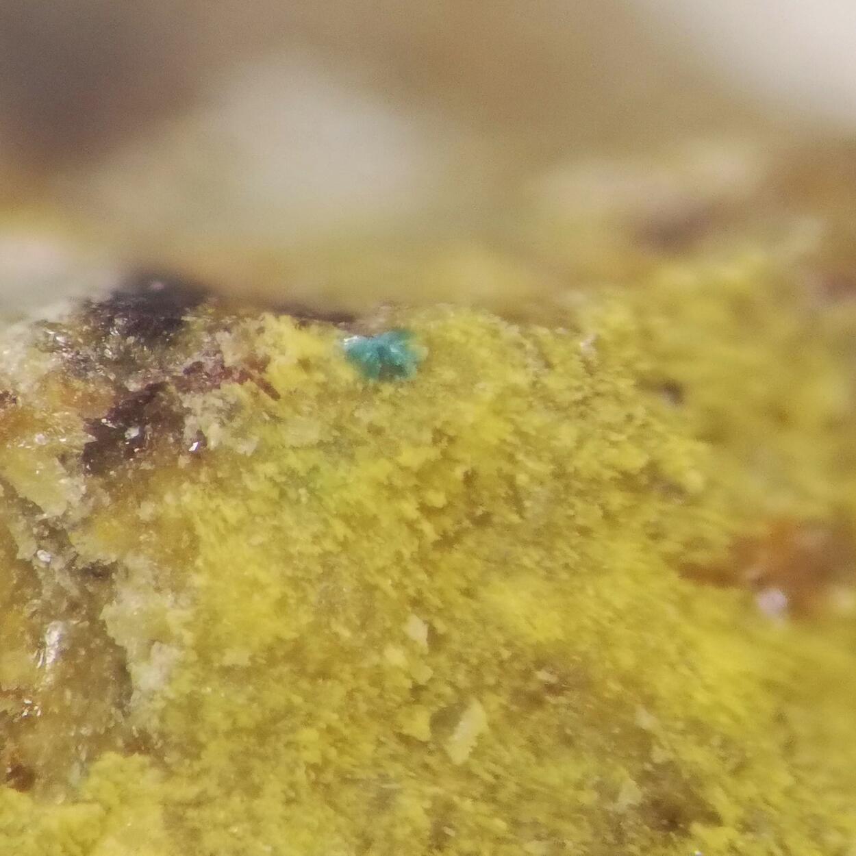 Astrocyanite-(Ce) On Kamotoite-(Y)