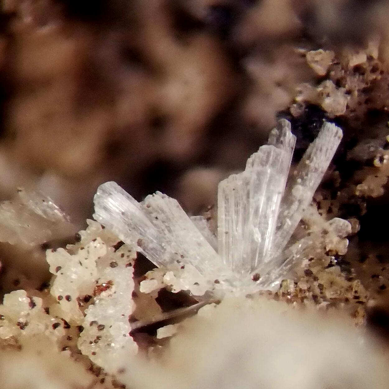 Brandtite