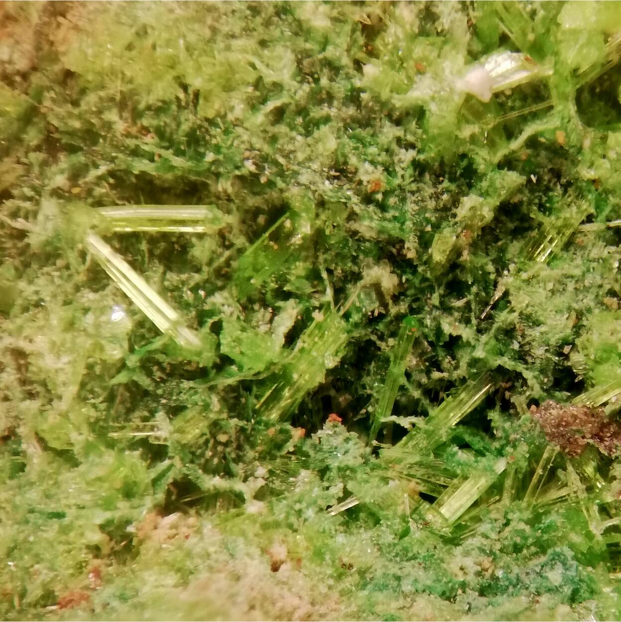 Cuprosklodowskite