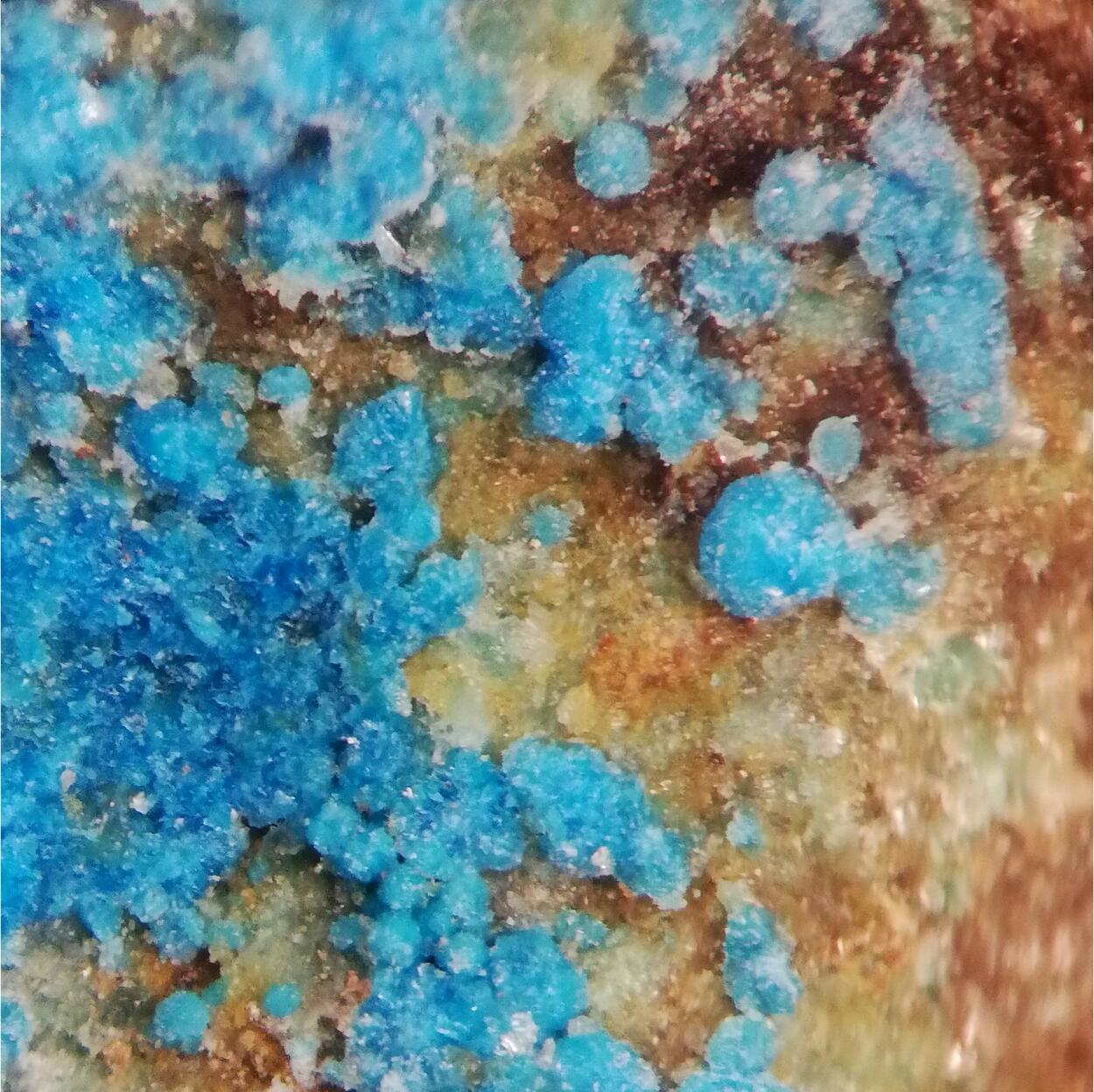 Decrespignyite-(Y)