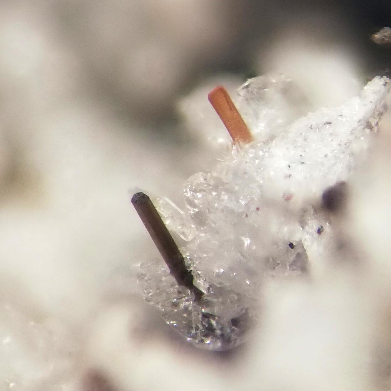 Dingdaohengite-(Ce) & Fluoro-edenite