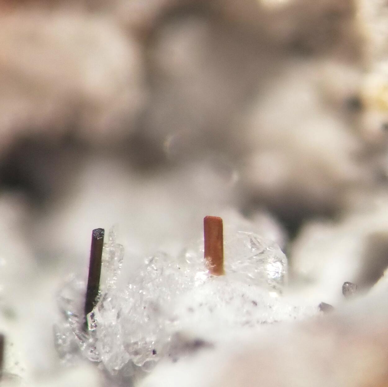 Dingdaohengite-(Ce) & Fluoro-edenite