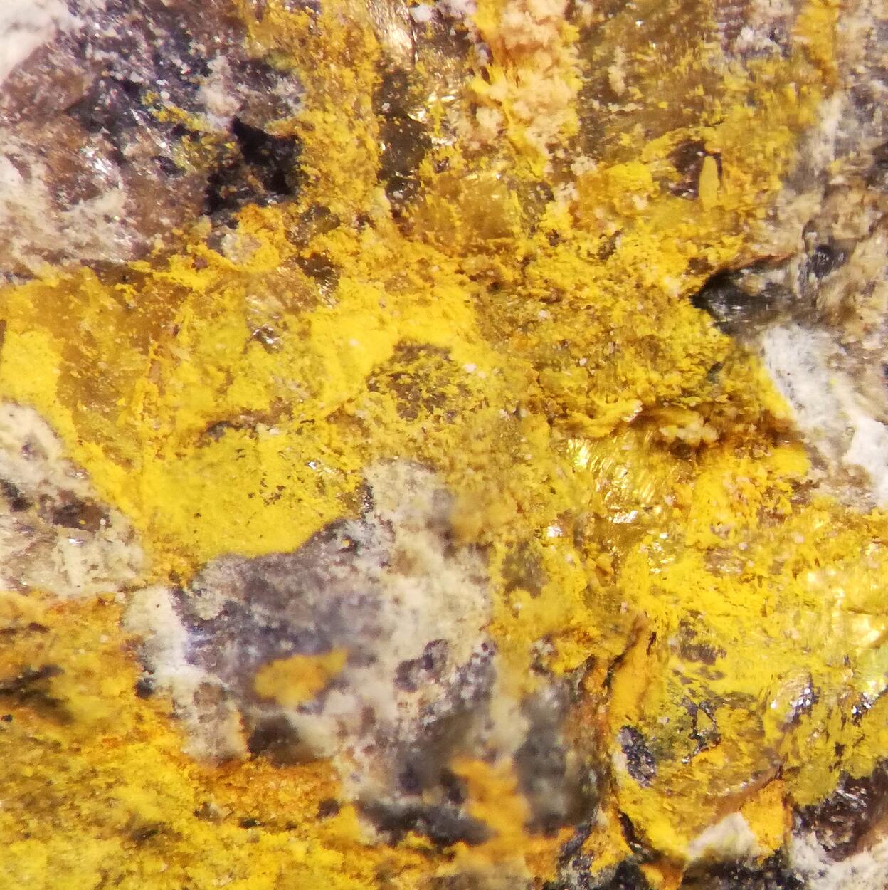 Greenockite