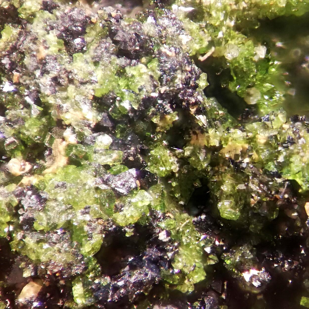 Liebenbergite & Trevorite