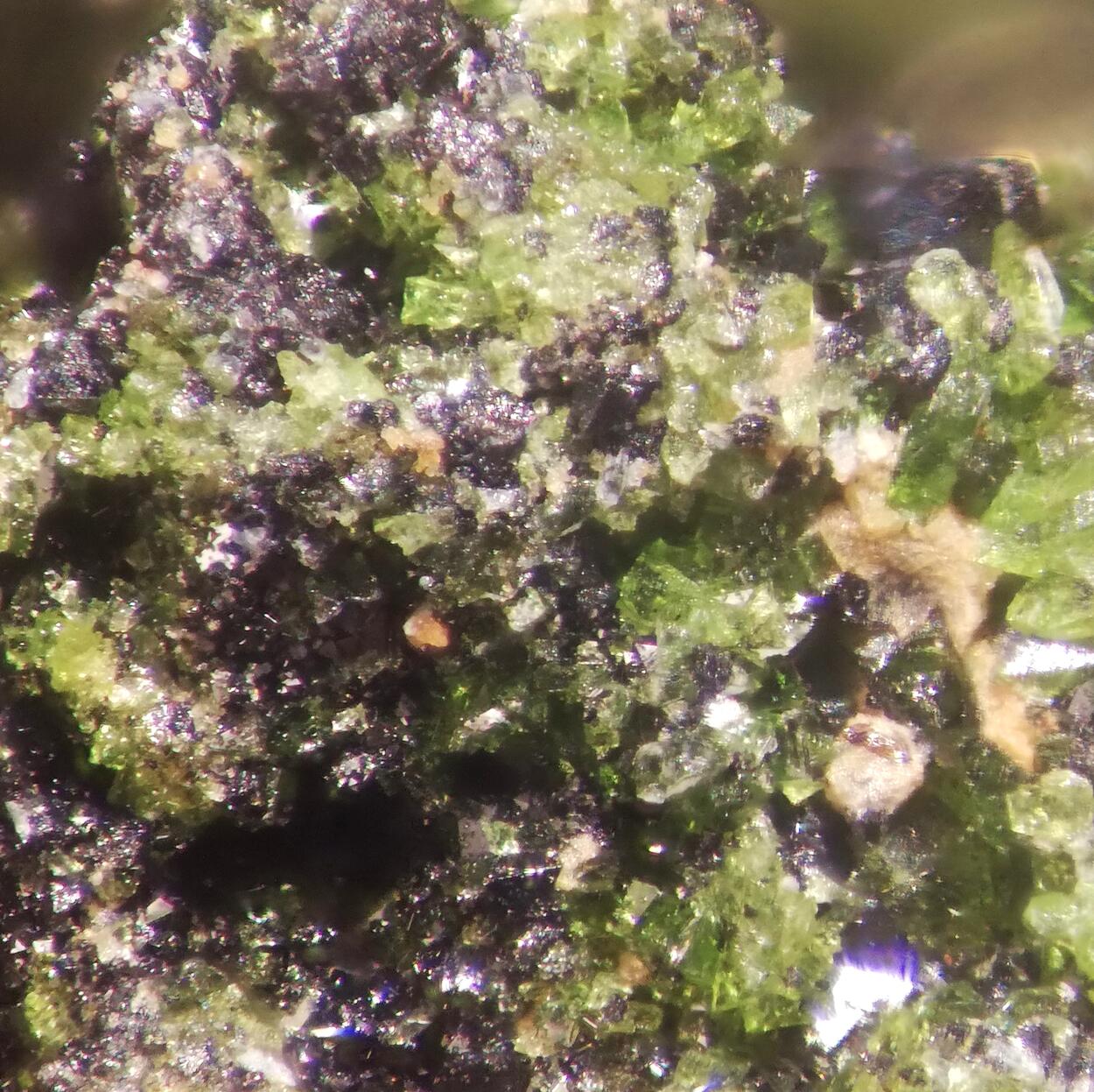 Liebenbergite & Trevorite
