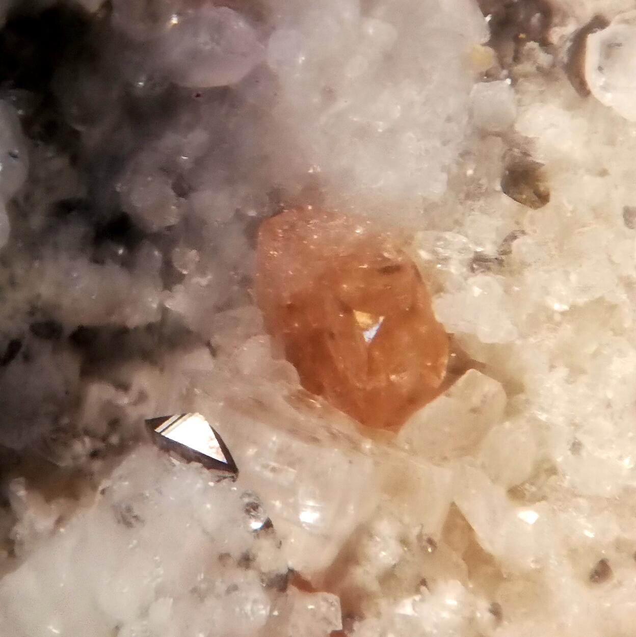 Monazite-(Ce)