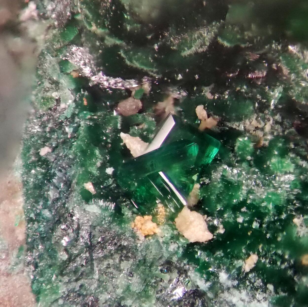 Torbernite