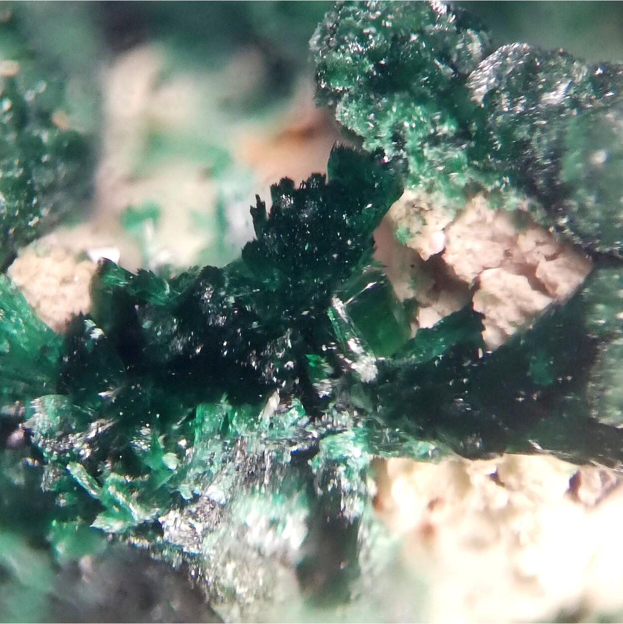 Torbernite