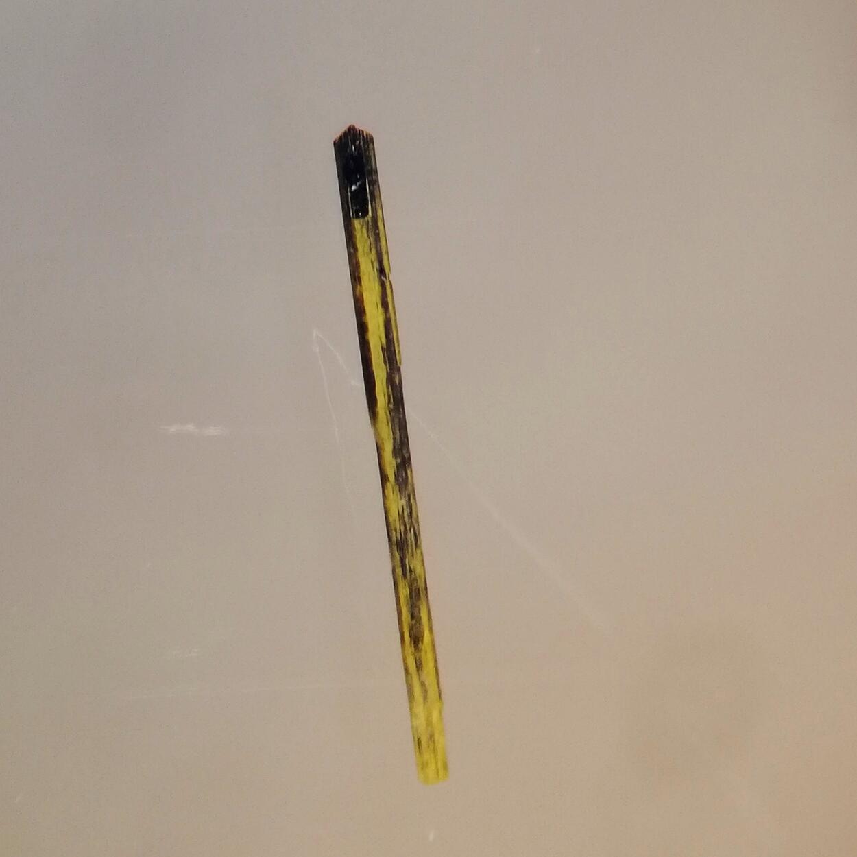 Wyartite