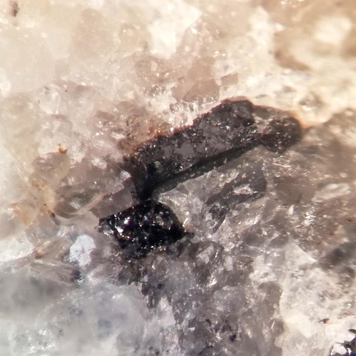 Pinakiolite