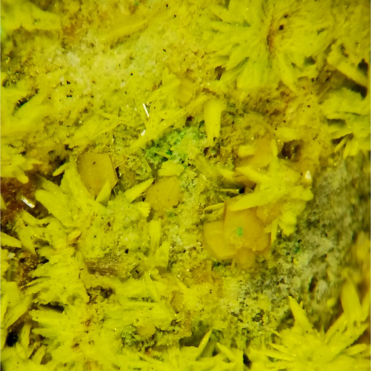 Schoepite On Rutherfordine & Soddyite