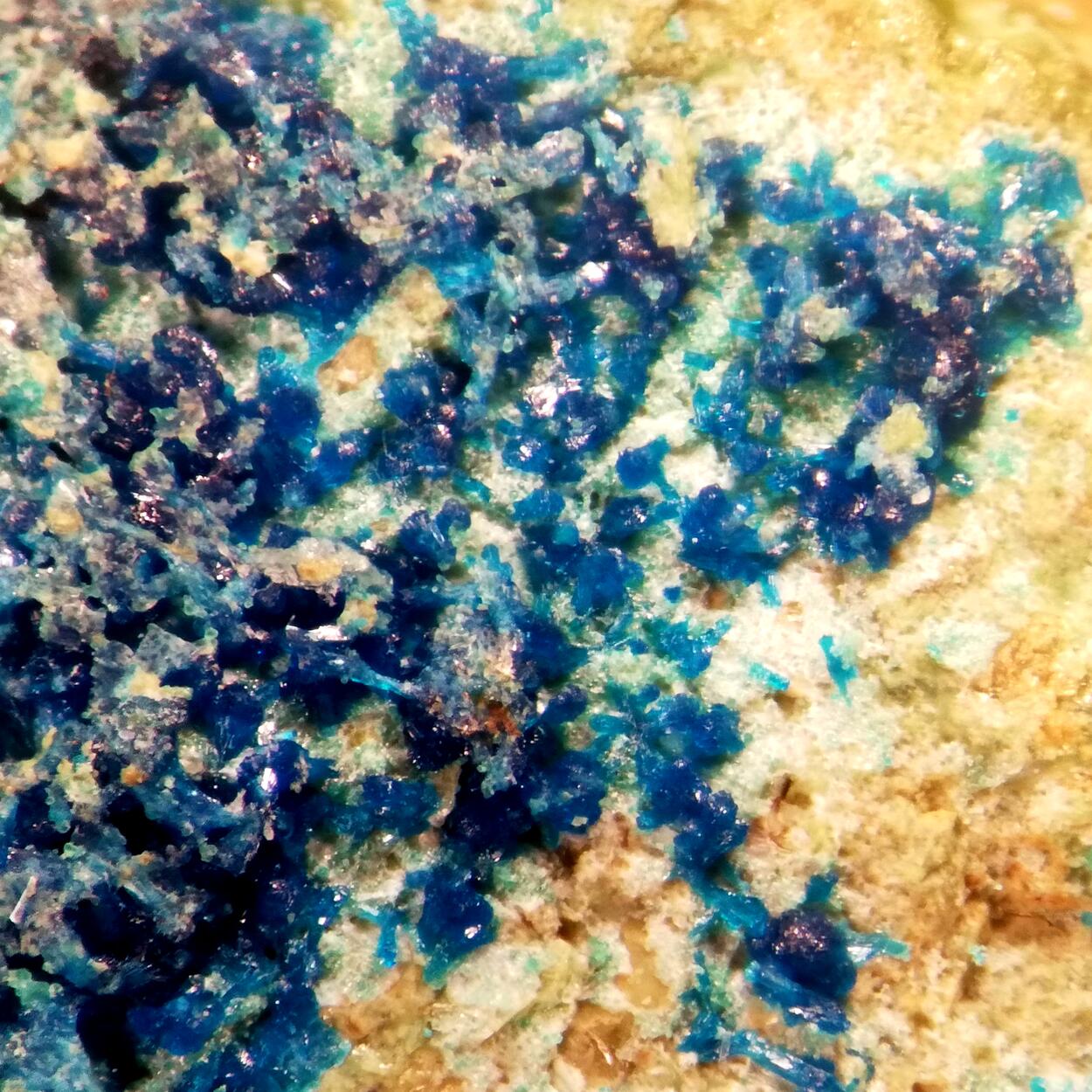 Schuilingite-(Nd)