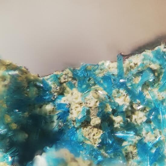 Serpierite