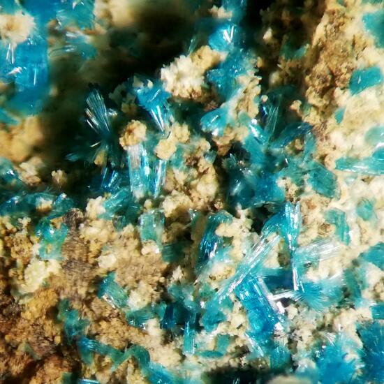 Serpierite