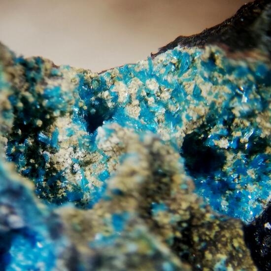 Serpierite