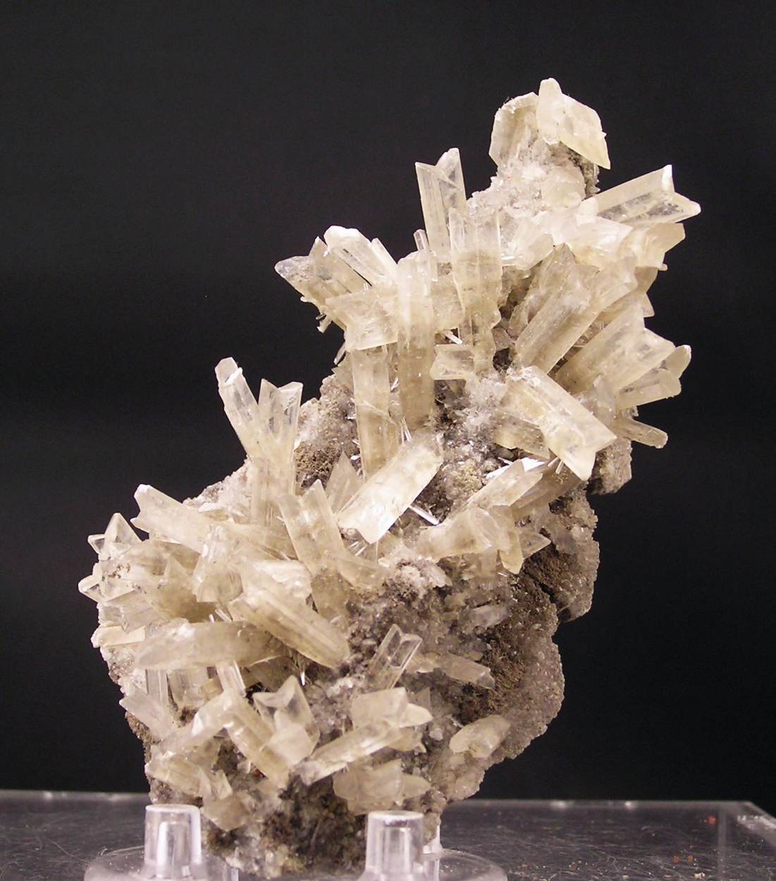 Gypsum