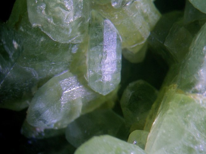 Forsterite Var Peridot