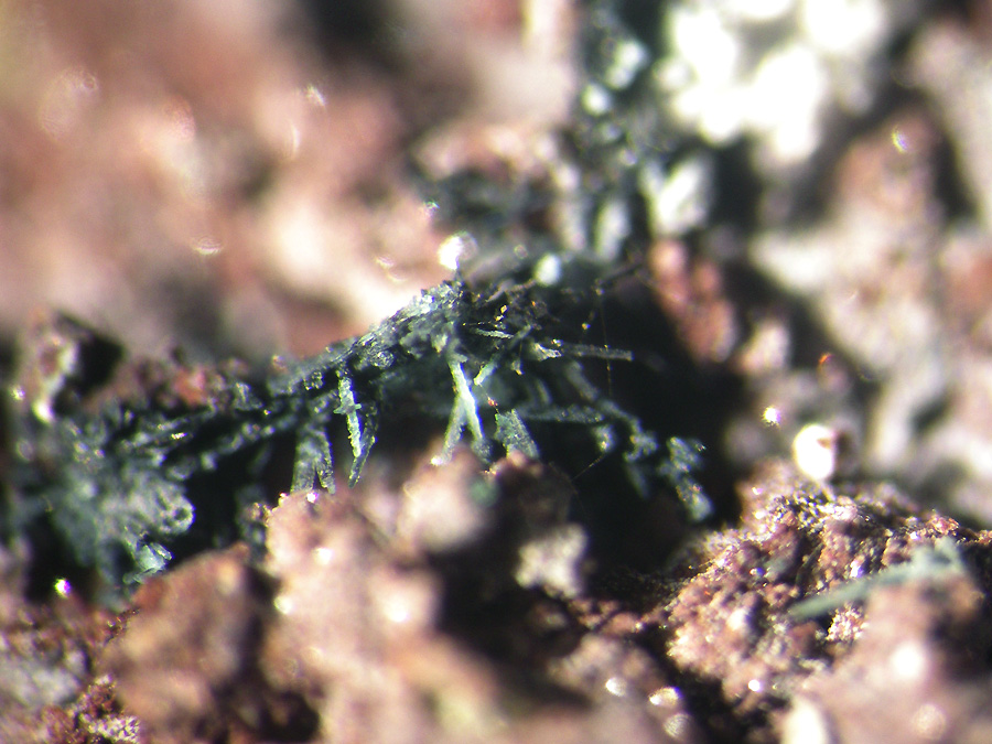 Paratacamite Psm Tenorite